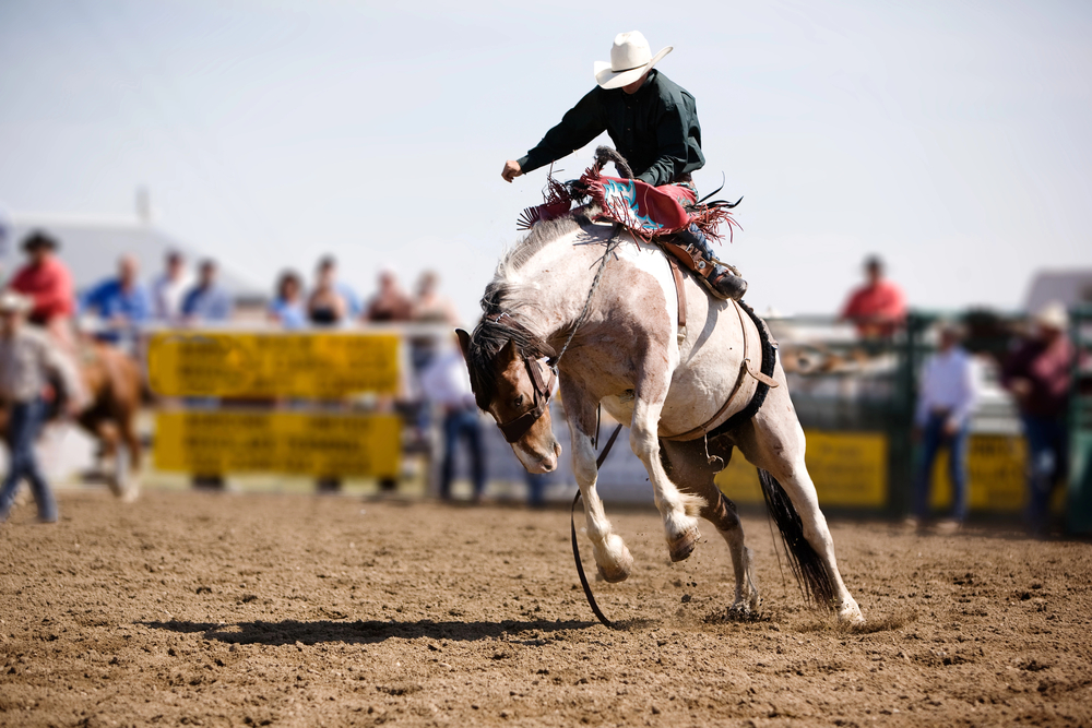 Rodeos top the list of things to do in liberty hill tx