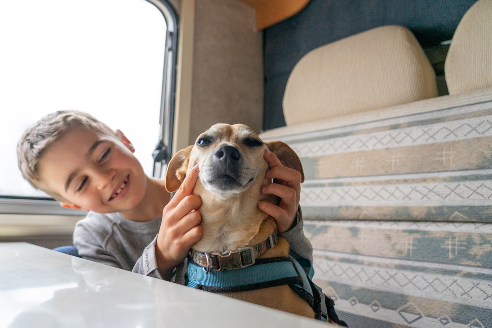 Preparation is key to RV camping with dogs. 