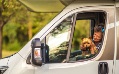 RV Camping With Dogs: Complete Guide