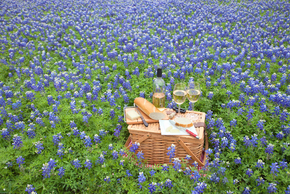 Is Liberty Hill a good place to live?