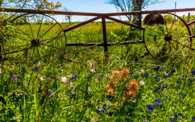 5 Ideas for Affordable Getaways in Texas